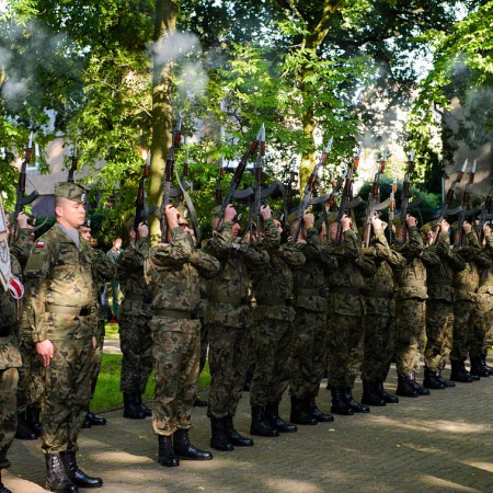 Wyświetl org. rozmiar
