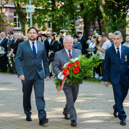 Wyświetl org. rozmiar