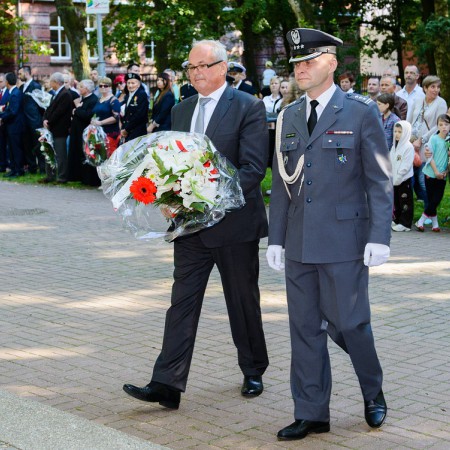 Wyświetl org. rozmiar