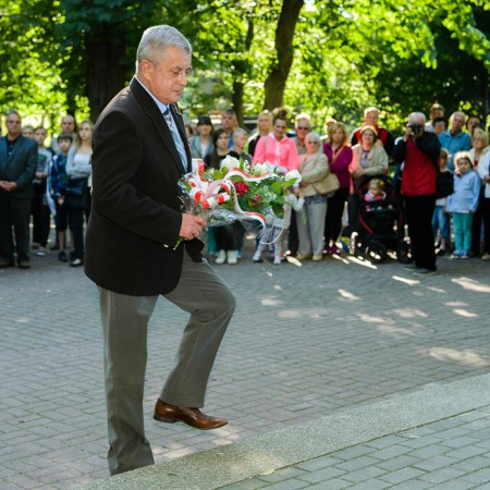Wyświetl org. rozmiar