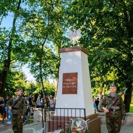 Wyświetl org. rozmiar