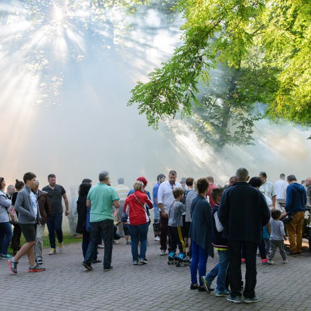 Wyświetl org. rozmiar