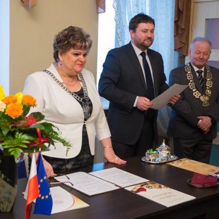 Wyświetl org. rozmiar