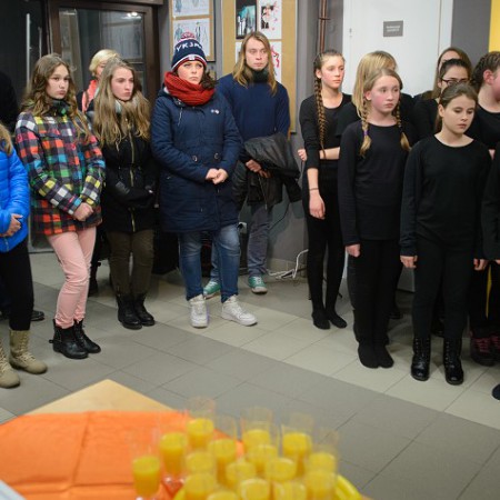 Wyświetl org. rozmiar