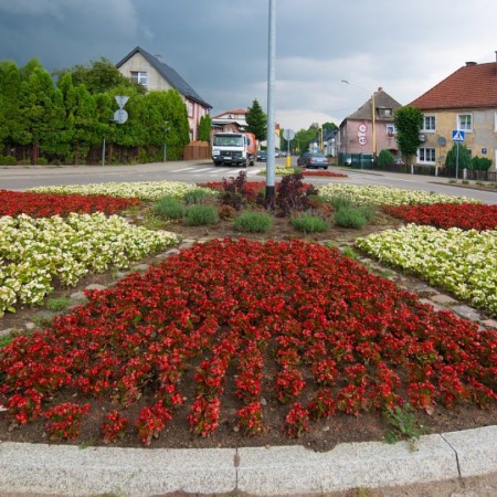 Wyświetl org. rozmiar