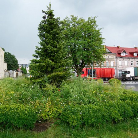 Wyświetl org. rozmiar