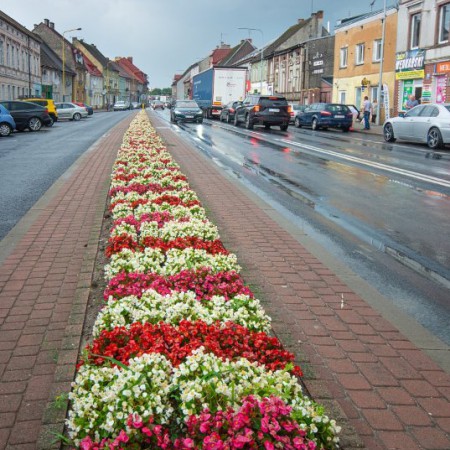 Wyświetl org. rozmiar