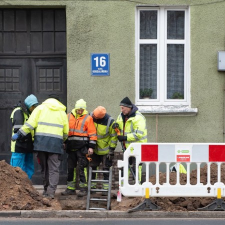 Wyświetl org. rozmiar