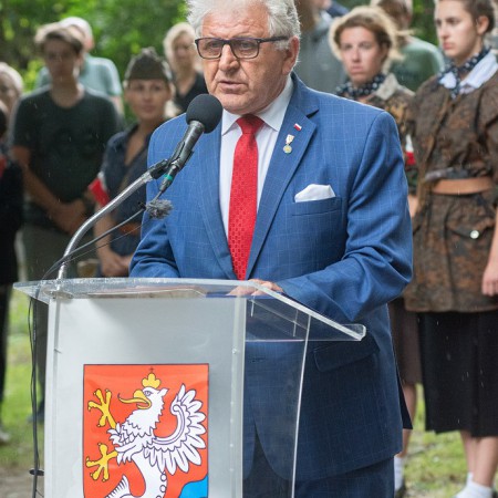 Wyświetl org. rozmiar