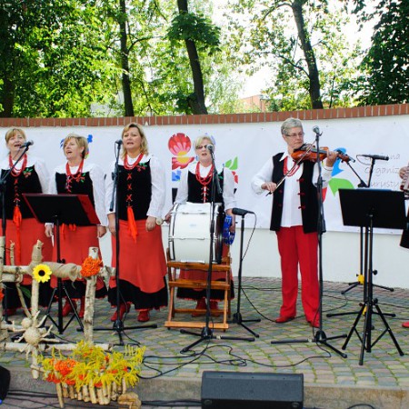 Wyświetl org. rozmiar