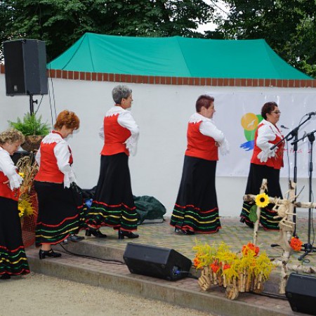 Wyświetl org. rozmiar