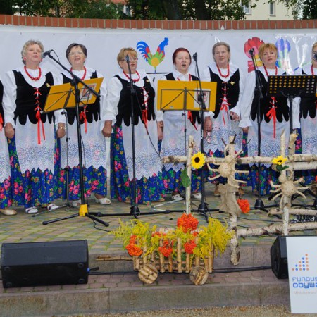Wyświetl org. rozmiar