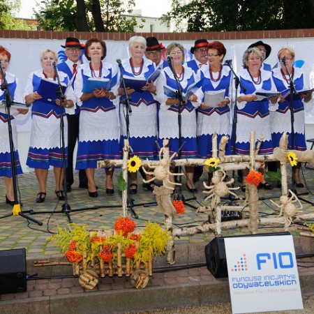Wyświetl org. rozmiar