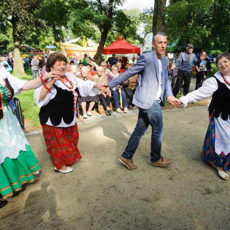 Wyświetl org. rozmiar