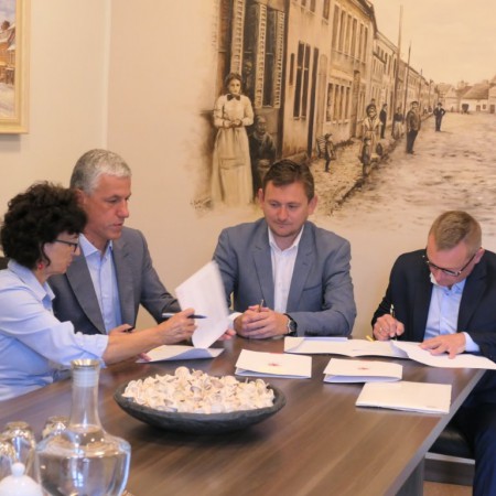 Wyświetl org. rozmiar