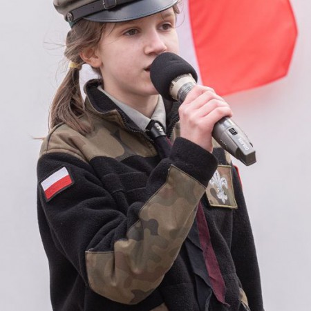 Wyświetl org. rozmiar