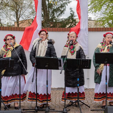 Wyświetl org. rozmiar