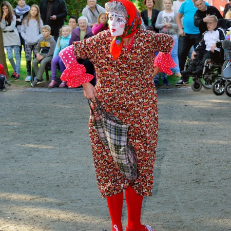 Wyświetl org. rozmiar