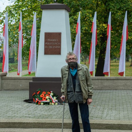 Wyświetl org. rozmiar