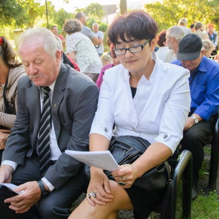 Wyświetl org. rozmiar