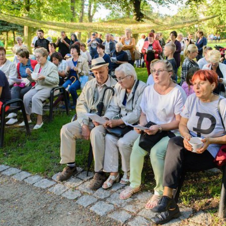 Wyświetl org. rozmiar