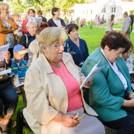 Wyświetl org. rozmiar