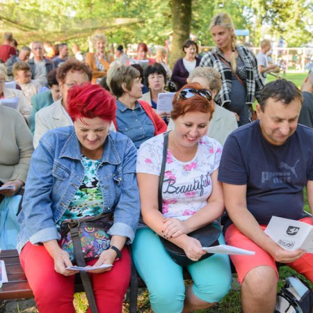 Wyświetl org. rozmiar