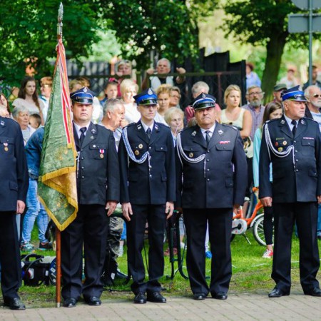 Wyświetl org. rozmiar
