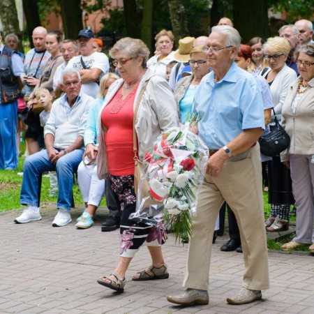 Wyświetl org. rozmiar