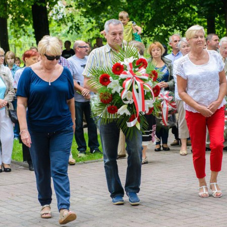 Wyświetl org. rozmiar