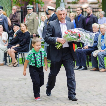 Wyświetl org. rozmiar