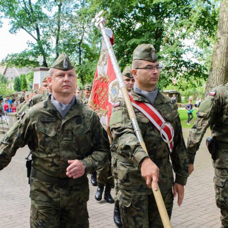 Wyświetl org. rozmiar