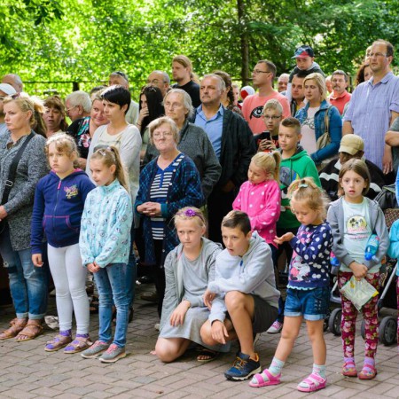 Wyświetl org. rozmiar