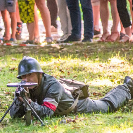 Wyświetl org. rozmiar