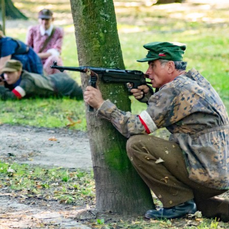 Wyświetl org. rozmiar