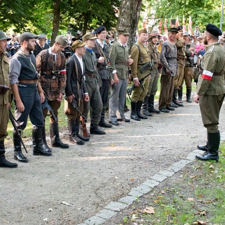 Wyświetl org. rozmiar