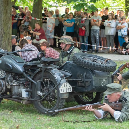 Wyświetl org. rozmiar
