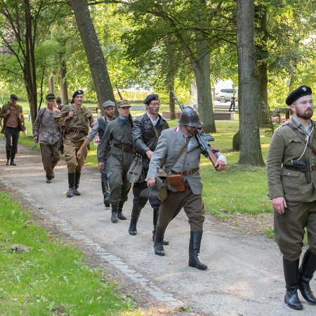 Wyświetl org. rozmiar
