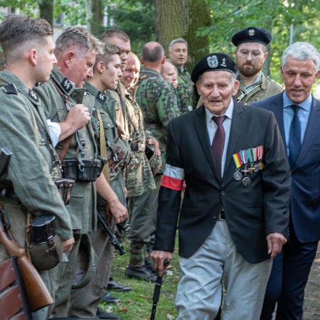 Wyświetl org. rozmiar