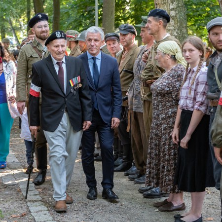 Wyświetl org. rozmiar