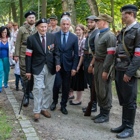 Wyświetl org. rozmiar