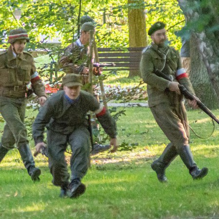 Wyświetl org. rozmiar