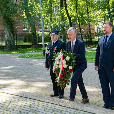 Wyświetl org. rozmiar