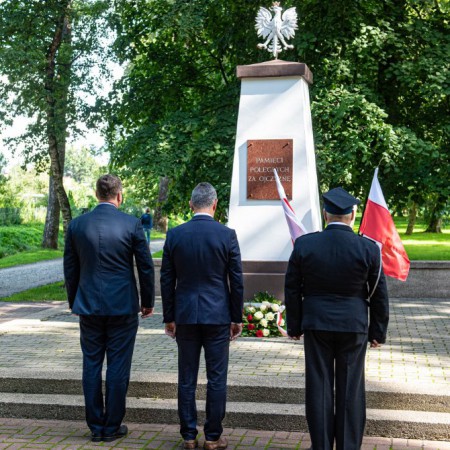 Wyświetl org. rozmiar