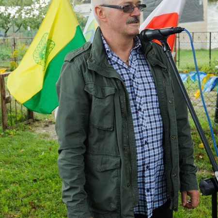 Wyświetl org. rozmiar