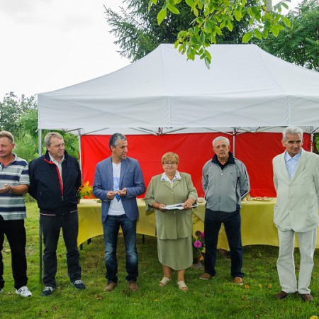 Wyświetl org. rozmiar
