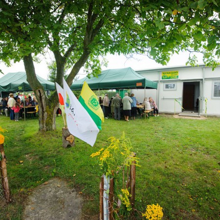 Wyświetl org. rozmiar