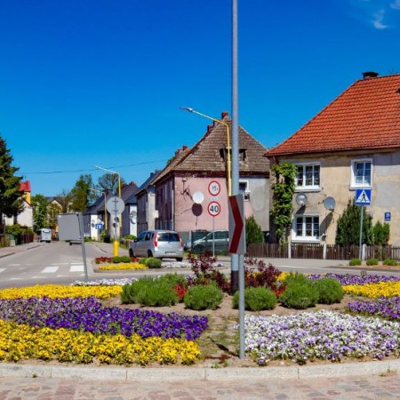 Wyświetl org. rozmiar