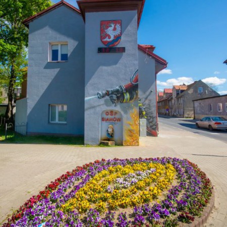 Wyświetl org. rozmiar