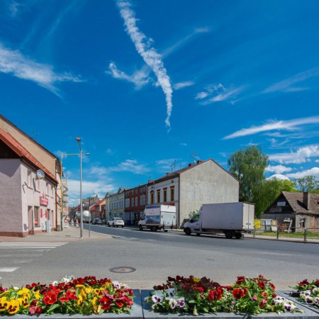 Wyświetl org. rozmiar